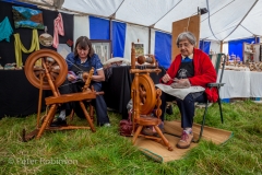 160911-Malpas Steam Rally-5284