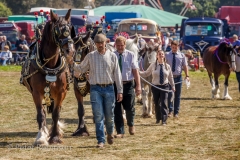 160911-Malpas Steam Rally-5432