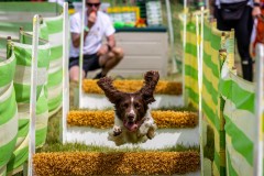 220522_Woof_Mudder-0155