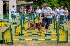 220522_Woof_Mudder-0197