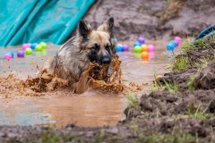 220522_Woof_Mudder-0591