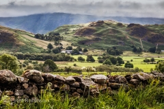 _MG_2830-Edit