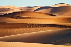 Views of the Erg Chebbi sand dunes Morocco