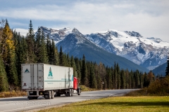 161003-Rogers Pass-5908