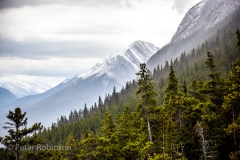 161004-Banff-6196
