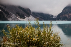 161005-Bannf National Park-6227