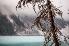 161005-Bannf National Park-6233