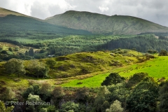 dolwyddelan castle