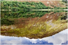 lake gwynant, snowdonia; wales