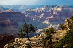 140907_092-2